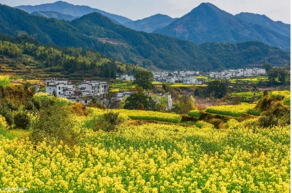 2025 年新增完成 1600 个行政村环境整治，广西发布《农业农村污染治理攻坚战实施方案（2021—2025年）》