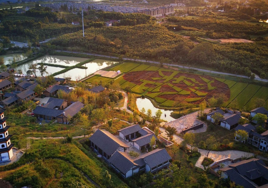 绿水青山何以成为金山银山？“解码”浙江可持续发展之路