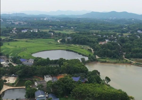 山东：如何破解农村污水治理“老大难”问题？