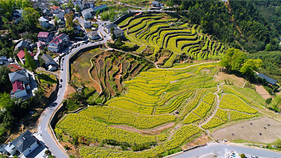 乡村产业发展趋势与战略路径