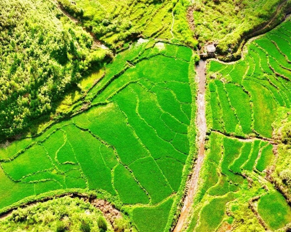 中共中央办公厅　国务院办公厅关于加强耕地保护提升耕地质量完善占补平衡的意见（全文）