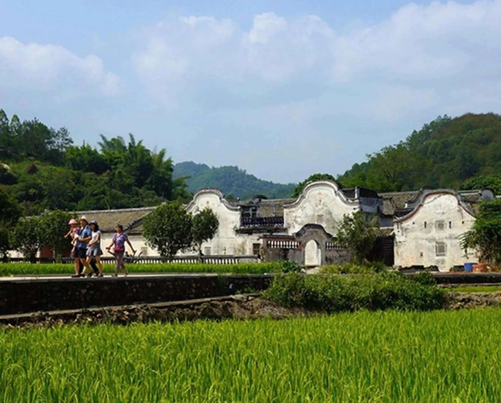 农业农村部召开常务会 研究部署推进帮扶产业高质量发展和智慧农业发展等工作