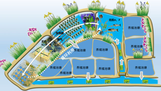 设施渔业