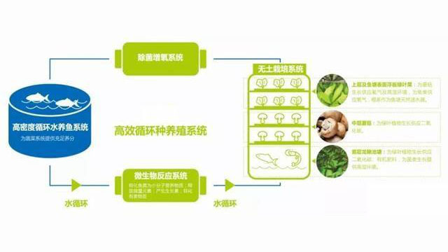 车间内部图
