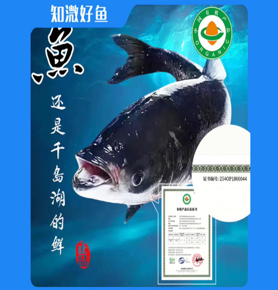 千岛湖有机鳙鱼头
