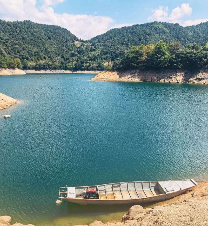 夯实绿色溯源体系丨商达公用千岛湖基地通过有机产品认证